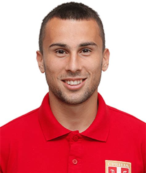 milan gajic alchetron   social encyclopedia