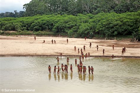 What to know about uncontacted Indigenous peoples and efforts to