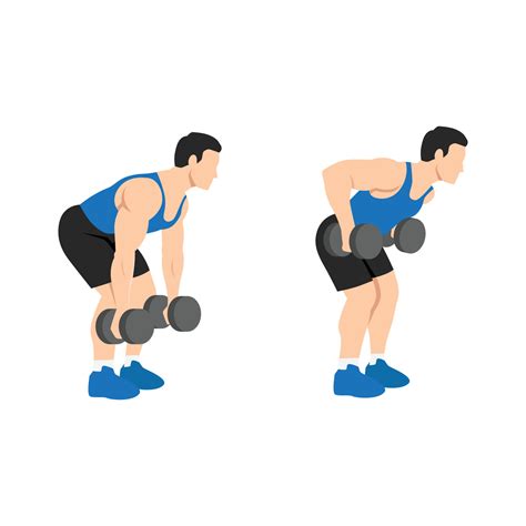 Dumbbell Row Illustration at William Santos blog