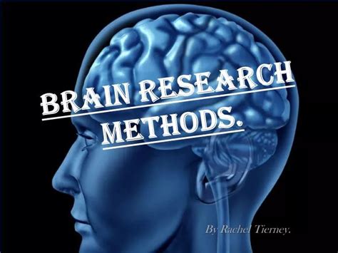 PPT - Brain Research Methods. PowerPoint Presentation, free download ...