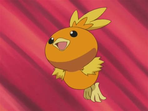 Cute Torchic Wallpaper