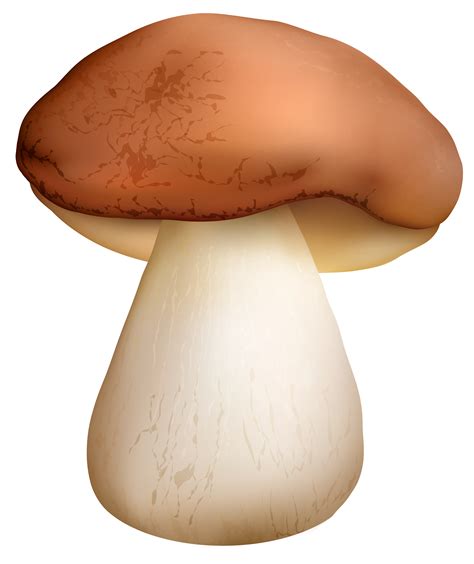 Boletus Mushroom PNG Clipart - Best WEB Clipart