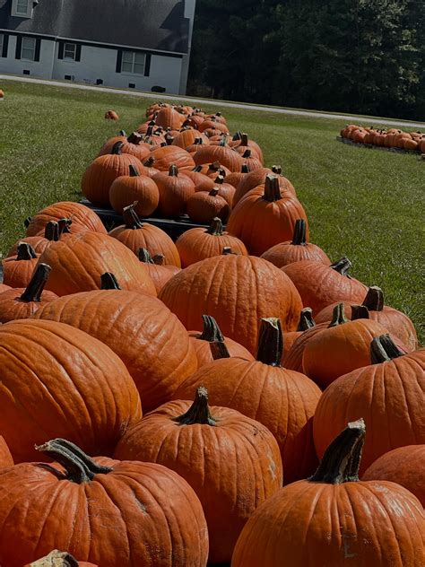 Federal legislation could soon end the need to ask is time change tonight 14