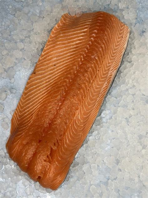 bakka frost salmon fillet lake district lobster seafood