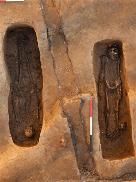 A surprising archeological find near the sydneylightrail track 1