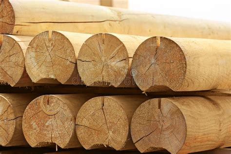 timber stock image image  cracked ecological