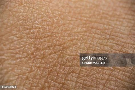 flesh texture stock  high res pictures  images
