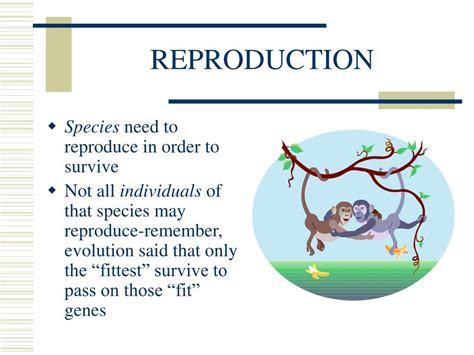 PPT - REPRODUCTION PowerPoint Presentation, free download - ID:6900371