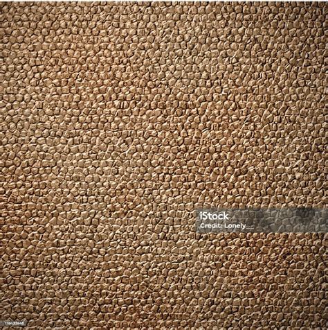 tekstur kulit ilustrasi stok  gambar  bertekstur