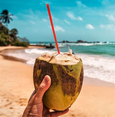 Кокосовая вода: что это, вкус, состав, польза и вред, как пить