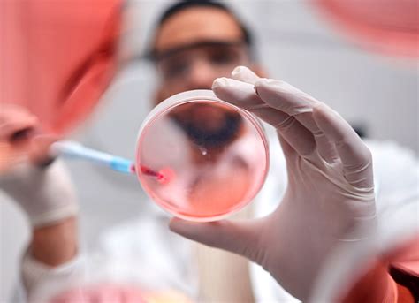 recombinant proteins techniques    guide cocoon bioscience