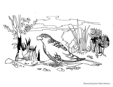 kalikasan drawing - philippin news collections