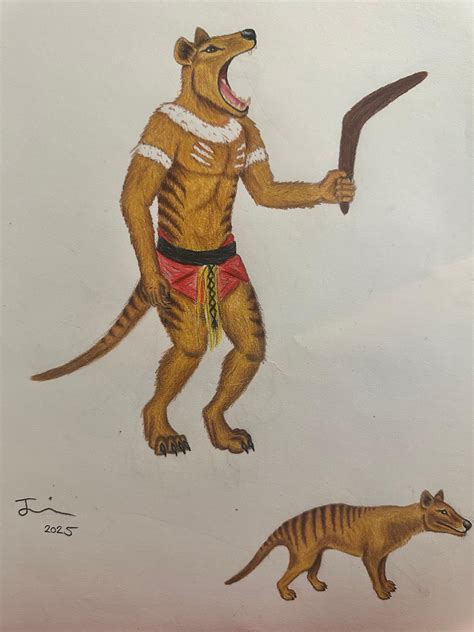 thylacine  superiorkatmanx  deviantart