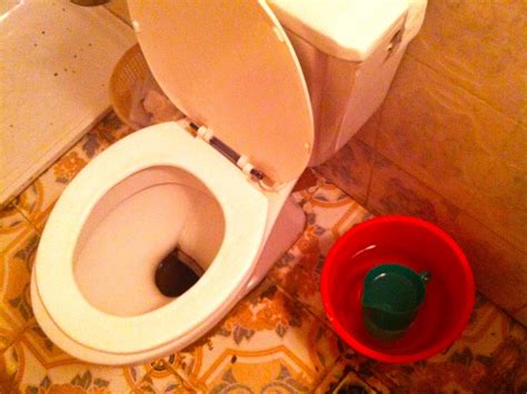 debbie  africa     toilet