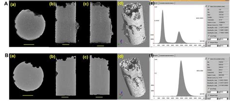 images  micro ct  procedure micro ct images  volume