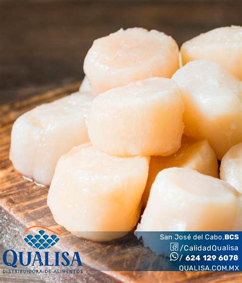 Callo De Hacha Riñon, 49% OFF | www.oceanproperty.co.th