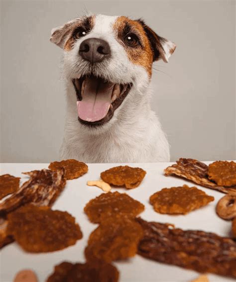 О бренде | Мнямс