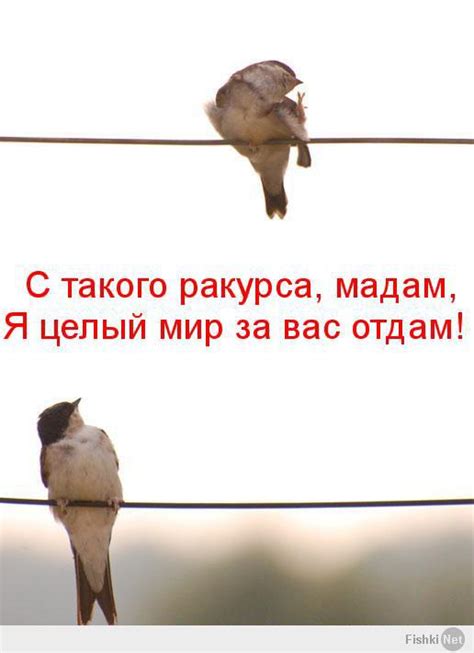 Фишкина солянка за 19.01.2014