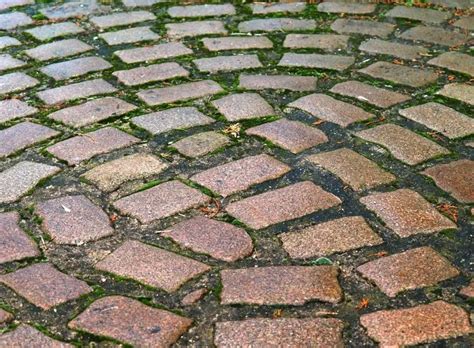 paving block jogja jual  jasa pasang conblock harga murah