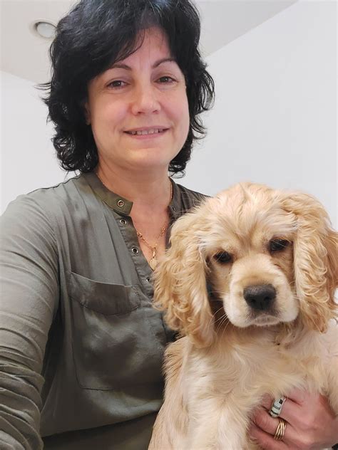 5 Stars ☼ Cockers ️ 301. 842. 4775 - Cocker Spaniel Puppies for Sale in Derwood, MD | AKC