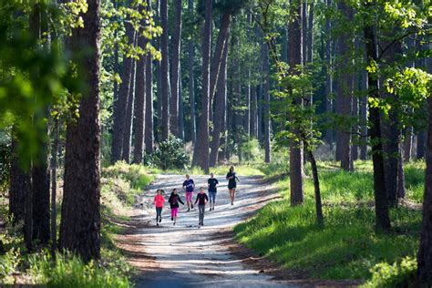 Discover Aiken: Hitchcock Woods a natural treasure in the heart of ...