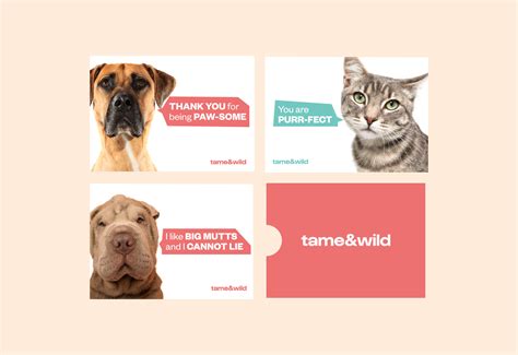 how to tame a wild animal 5