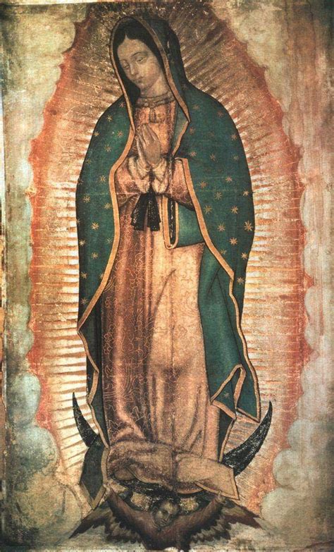 lady  guadalupe symbols  lady  guadalupe veil  virgin