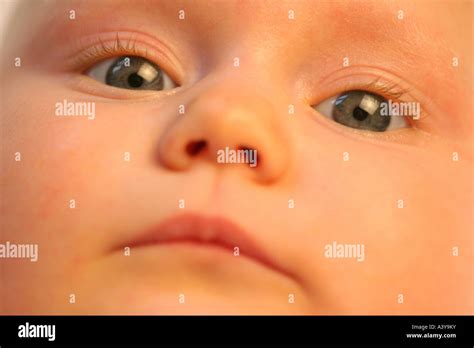 people human beings humans homo sapiens sapiens baby portrait
