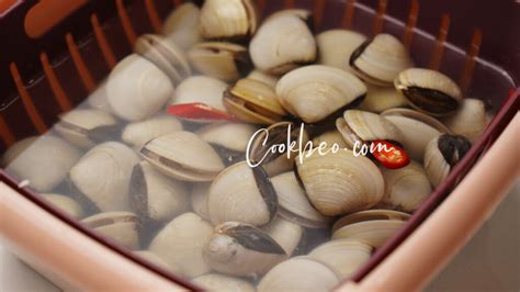 cach lam sach ngao nhanh va hieu qua nhat