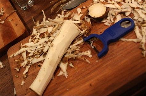 Growing Horseradish – How to Grow Horseradishes in your Garden