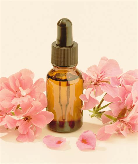 Bach Flower Remedies - Sakura Oasis
