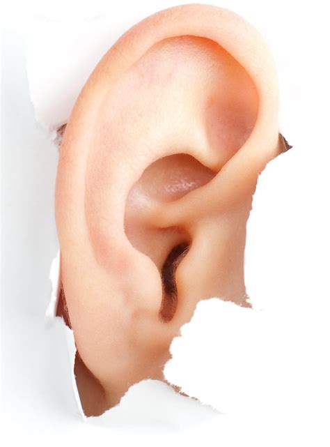 Dry Flaky Skin In Ears Causes