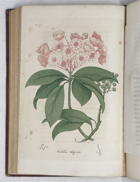 American Medical Botany, being a Collection of the Native Medicinal