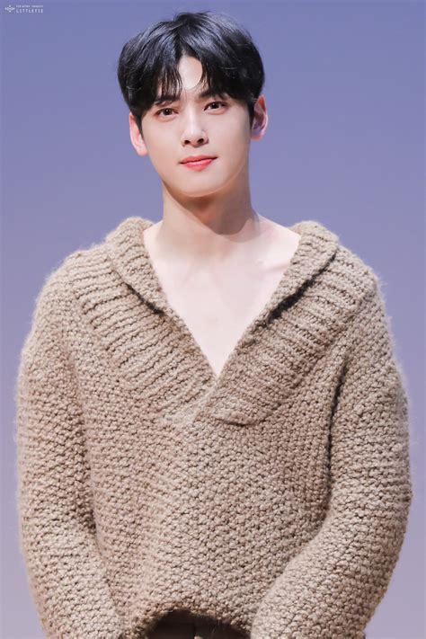 Military Experts Reveal The TRUTH About Cha Eun Woo's Enlistment Image 13