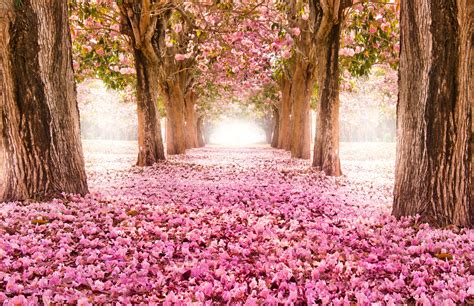 Beautiful Spring Scenery Wallpapers - Wallpaper Cave