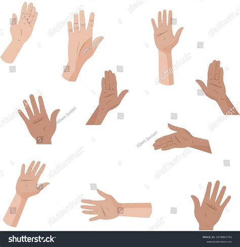set hands  positions vector illustration stock vector royalty
