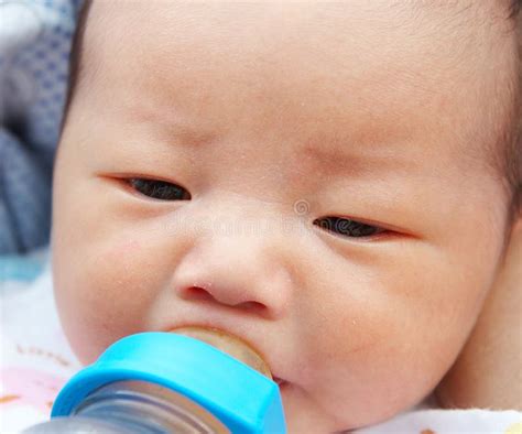 feeding baby stock photo image  feed adorable baby