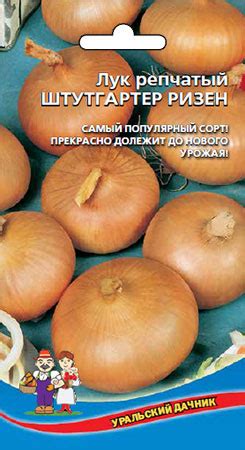 Лук репчатый ШТУТГАРТЕР РИЗЕН | Дачная Коллекция