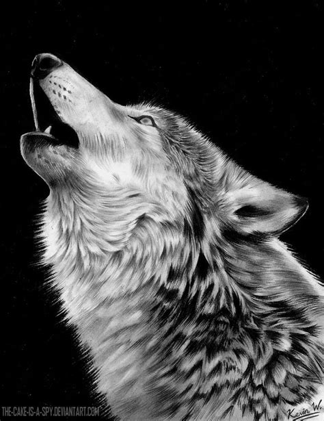 Wolf Howling At Moon Sketch at PaintingValley.com | Explore collection ...