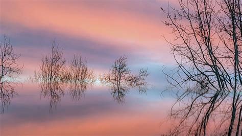 rose gold sky  rcambriz  deviantart
