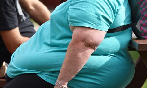Obese: Định nghĩa, cách sử dụng và ví dụ minh họa