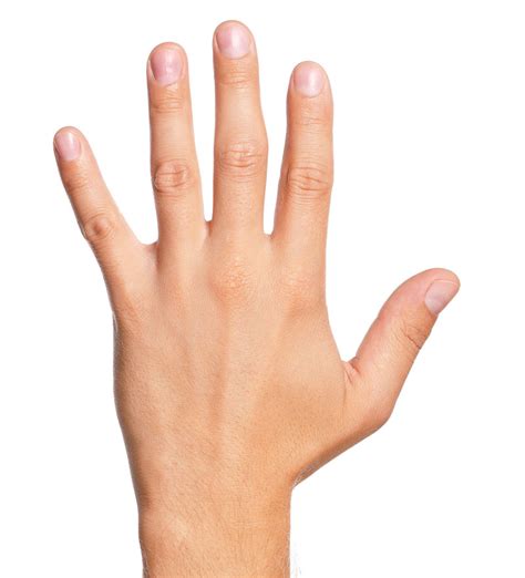hand therapy  injury arthritis post op rehab   north shore