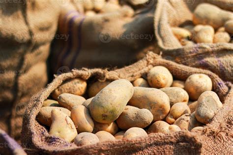 potato sack stock  images  backgrounds