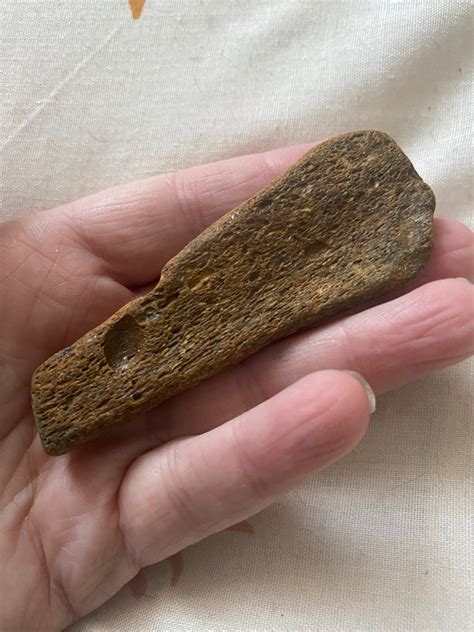 Petrified fossil bone maybe? - Discuss Fossils