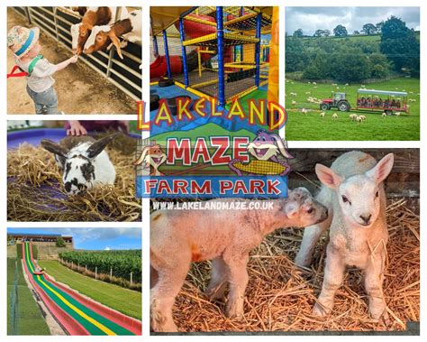 Transit Guide: Visiting Lakeland Maze Farm Park