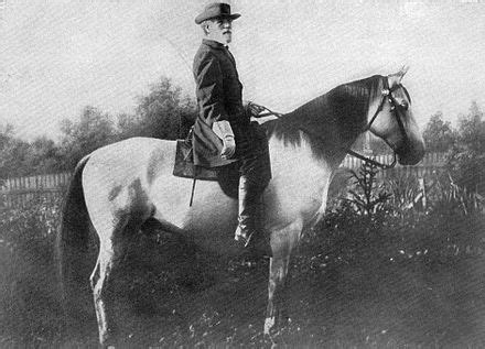 Georgian Grande Horse - Wikipedia