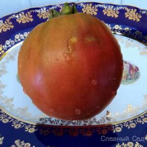 Томат Бычок черный -коллекционные сорта - Славный Сад