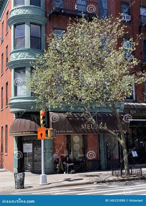 Park Slope, Brooklyn, New York City, USA Editorial Image - Image of