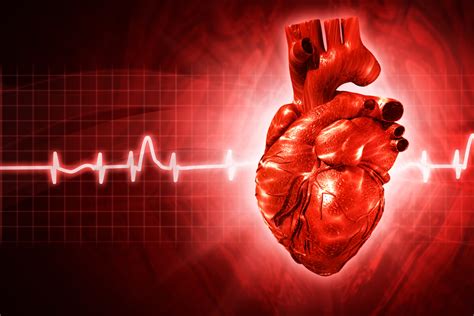 What Are The Most Common Causes Of Arrhythmia? - Viedial