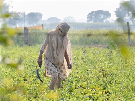 Hiding in Plain Sight | Smithsonian Photo Contest | Smithsonian Magazine